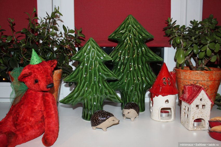 Есть ли жизнь на подоконнике (фото 7)