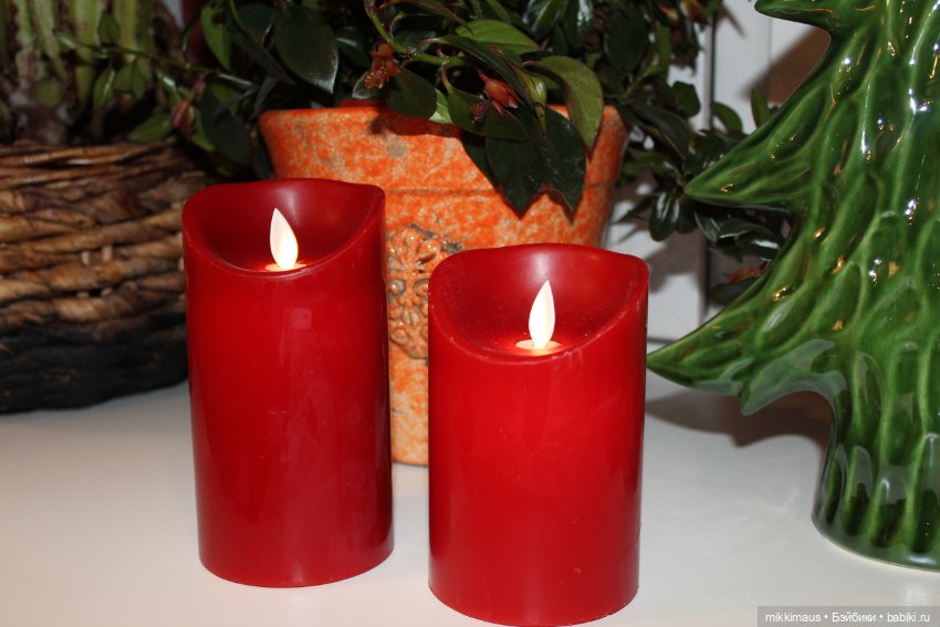 Есть ли жизнь на подоконнике (фото 4)