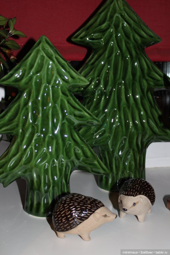 Есть ли жизнь на подоконнике (фото 2)