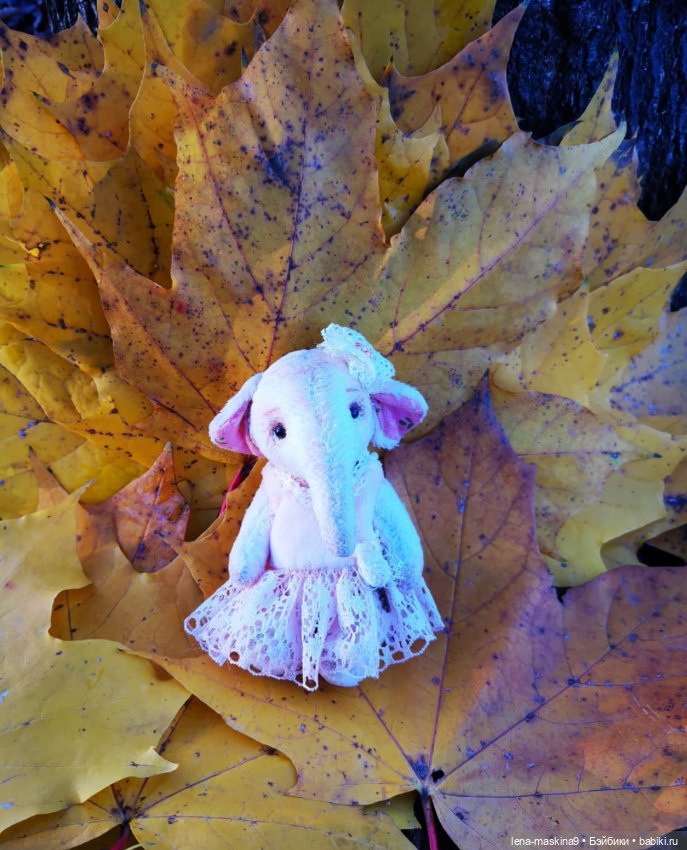 Последние теплые дни осени и малышка Слоняша (фото 4)