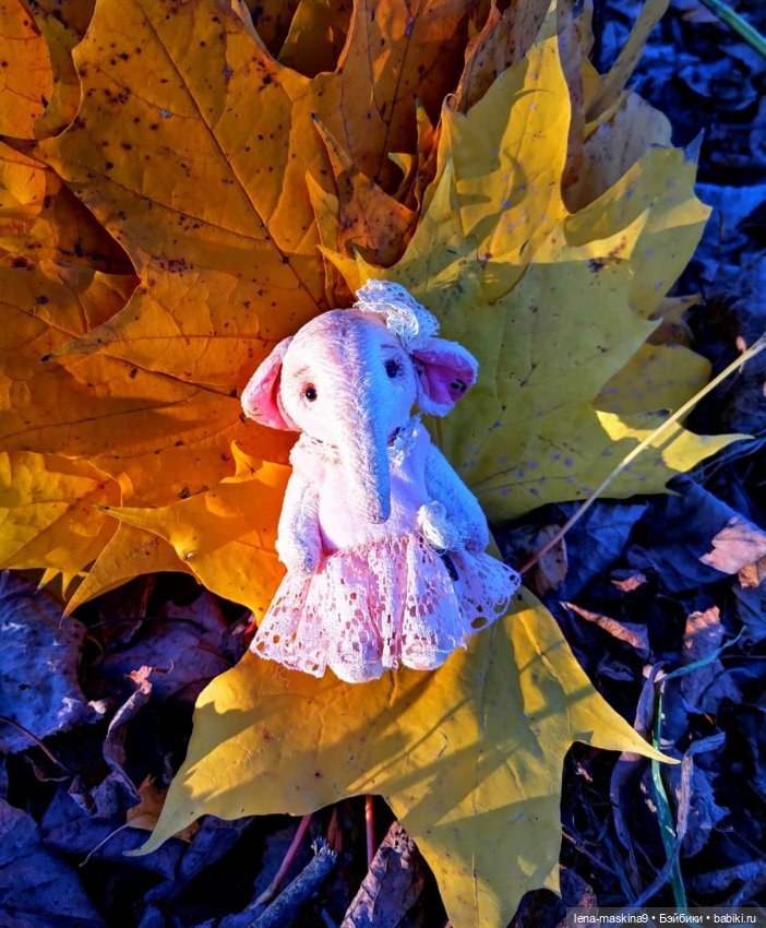 Последние теплые дни осени и малышка Слоняша (фото 8)