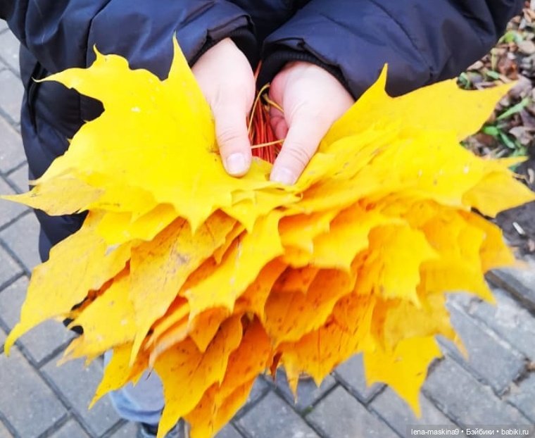 Последние теплые дни осени и малышка Слоняша (фото 6)