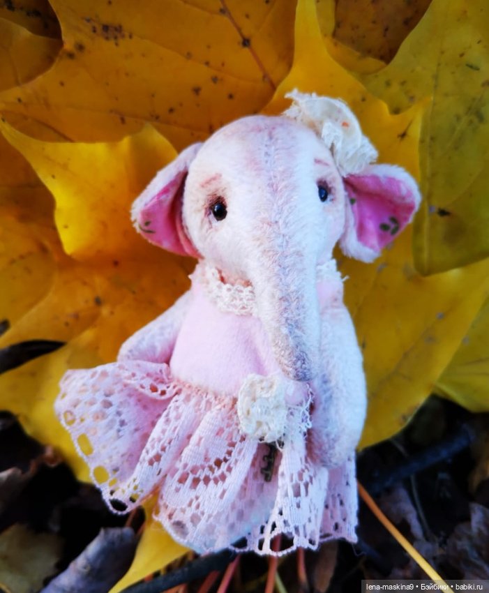 Последние теплые дни осени и малышка Слоняша