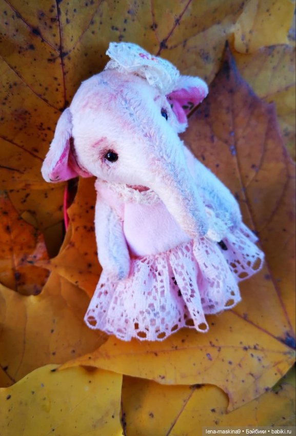 Последние теплые дни осени и малышка Слоняша