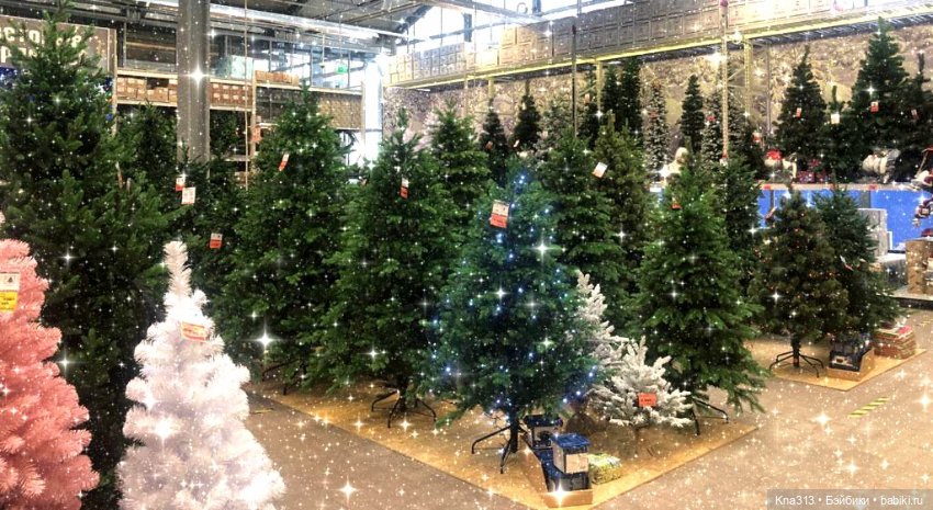 Неожиданно попала в Новогоднюю сказку