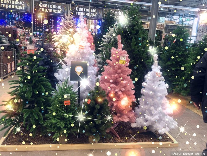 Неожиданно попала в Новогоднюю сказку