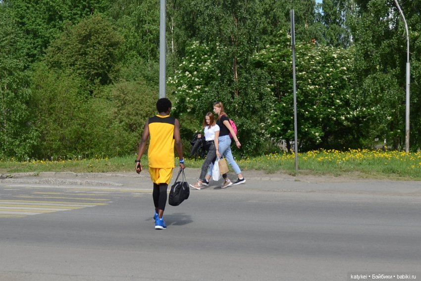 Шмель Стайл (часть 2) — Коллекционные экшн