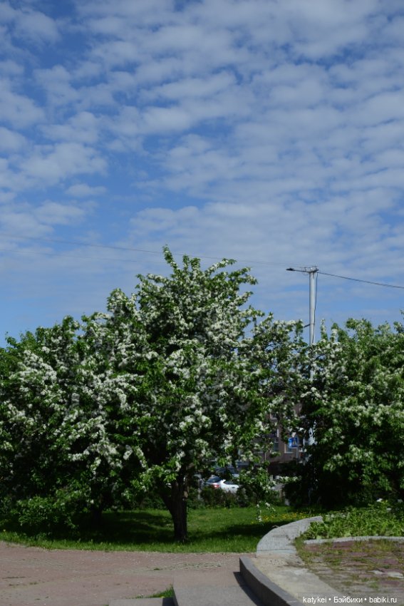 Шмель Стайл (часть 2) — Коллекционные экшн