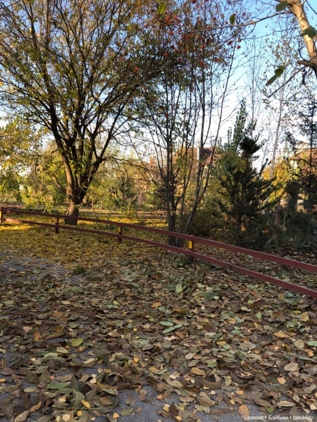 Я так хочу, чтобы осень не кончалась