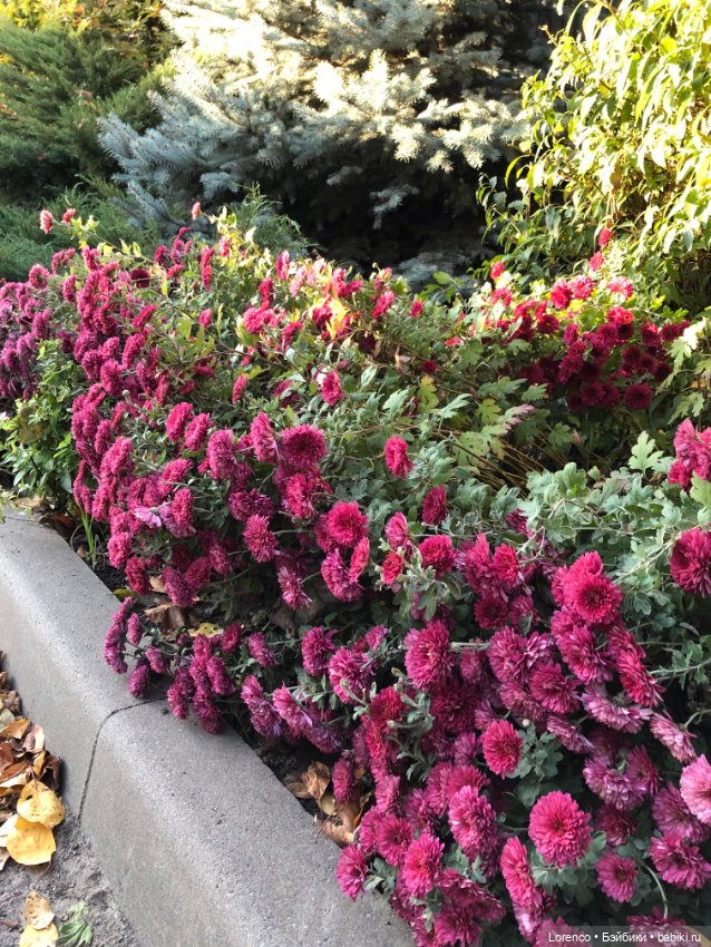 Я так хочу, чтобы осень не кончалась