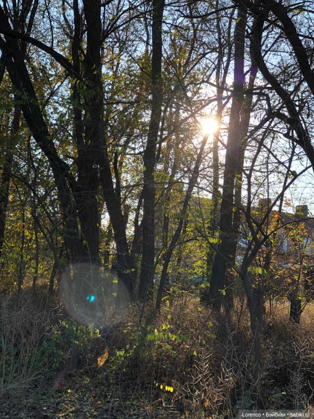 Я так хочу, чтобы осень не кончалась