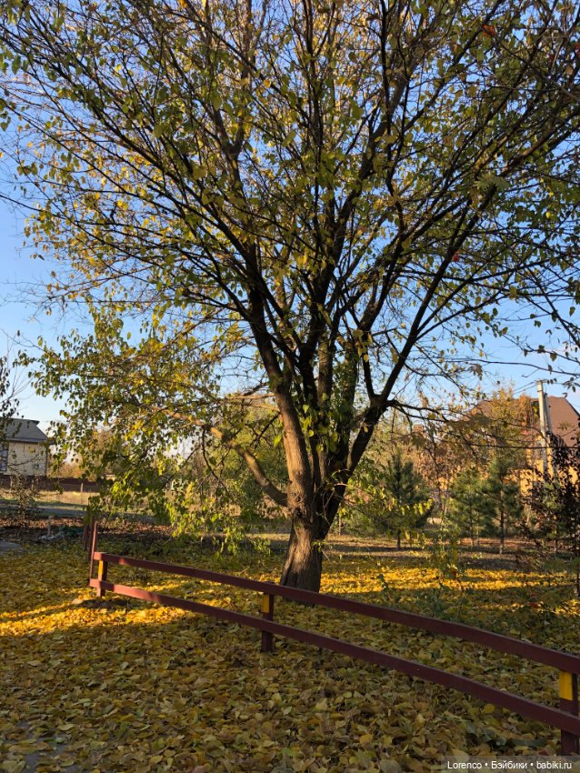 Я так хочу, чтобы осень не кончалась