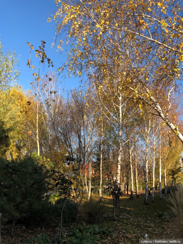 Я так хочу, чтобы осень не кончалась (фото 10)