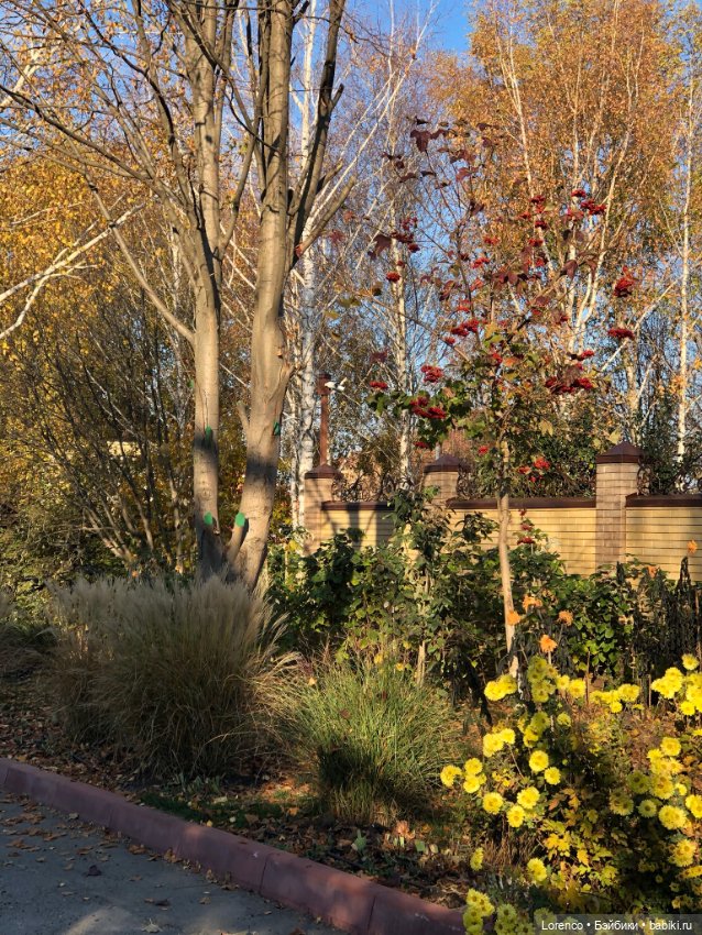 Я так хочу, чтобы осень не кончалась (фото 8)