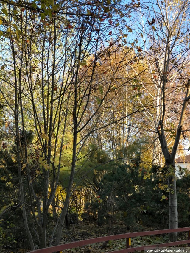 Я так хочу, чтобы осень не кончалась