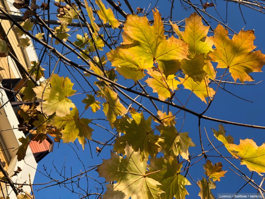 Я так хочу, чтобы осень не кончалась