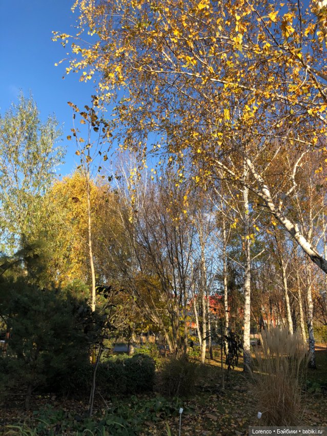 Я так хочу, чтобы осень не кончалась (фото 9)