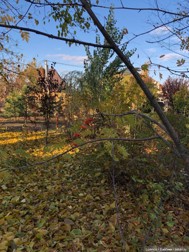 Я так хочу, чтобы осень не кончалась