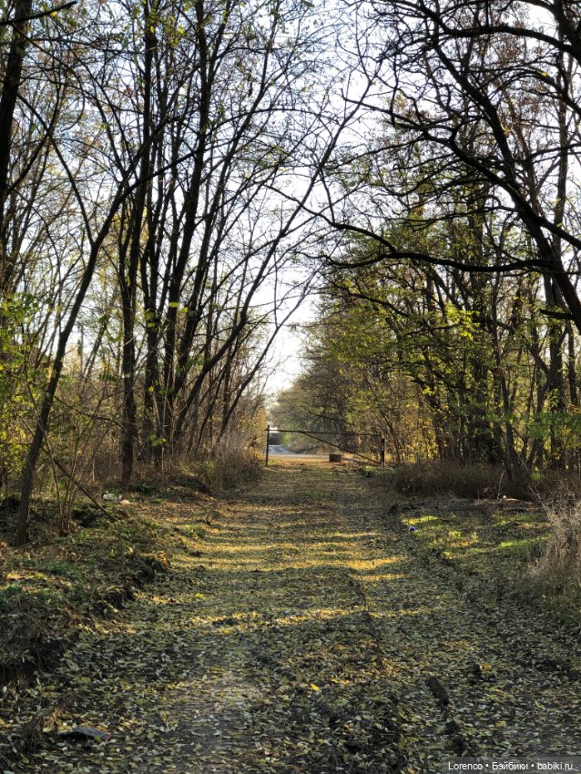 Я так хочу, чтобы осень не кончалась