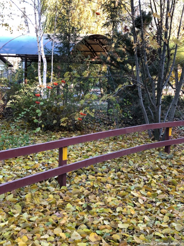 Я так хочу, чтобы осень не кончалась