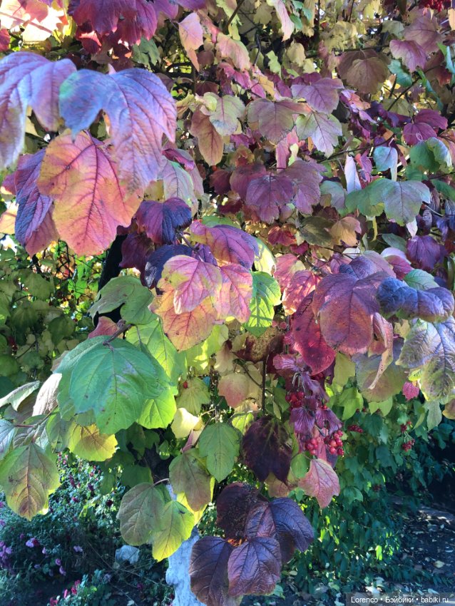 Я так хочу, чтобы осень не кончалась