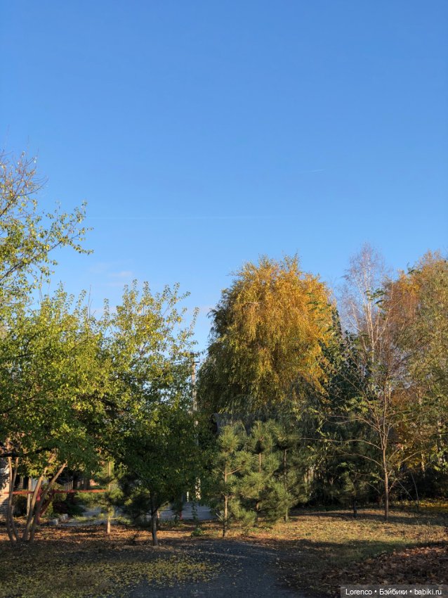 Я так хочу, чтобы осень не кончалась