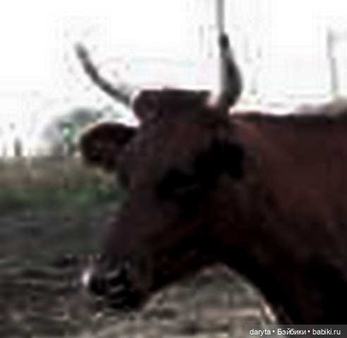 А теперь меня погладьте — Болталка и разговоры обо всем: жизнь