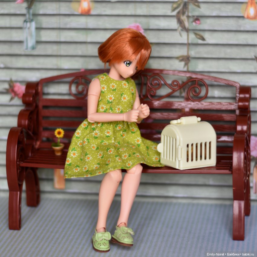 Мечты должны сбываться — Аниме куклы (MJD/Винил): Imomo