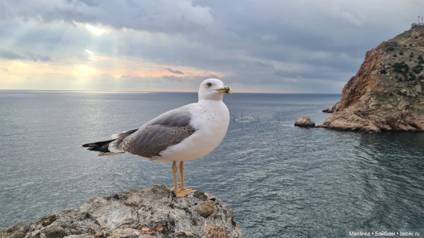 Полинка в Балаклаве — Туризм и путешествия: фотоотчеты из поездок (фото 6)