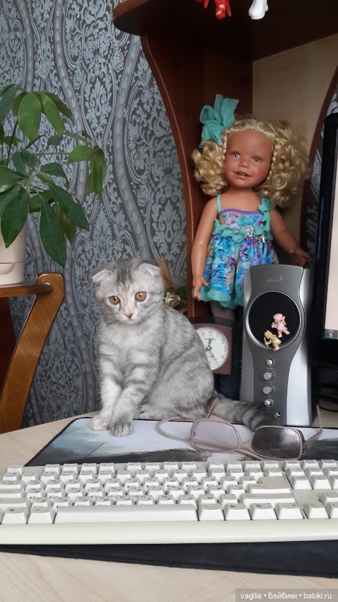 Друзья уходят, но жизнь подкидывает чудеса