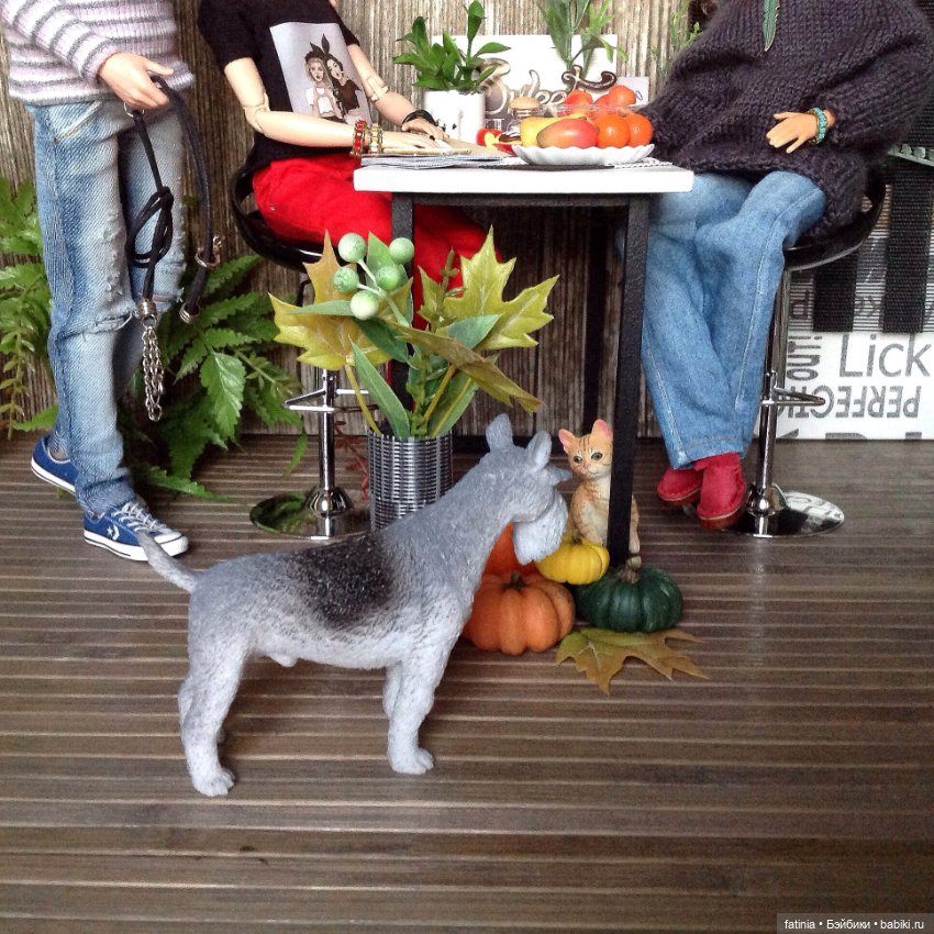 Письма из прошлого или как простая фотосессия может подпортить репутацию идеального семьянина (фото 3)