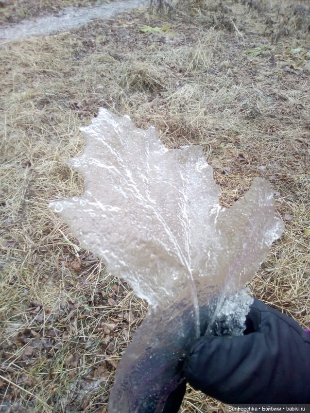 Ледяной дизайн — Красивая природа и цветы: фото пейзажей (фото 3)