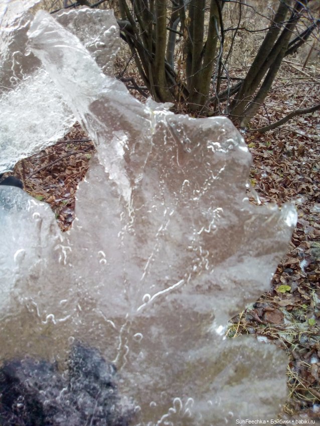 Ледяной дизайн — Красивая природа и цветы: фото пейзажей