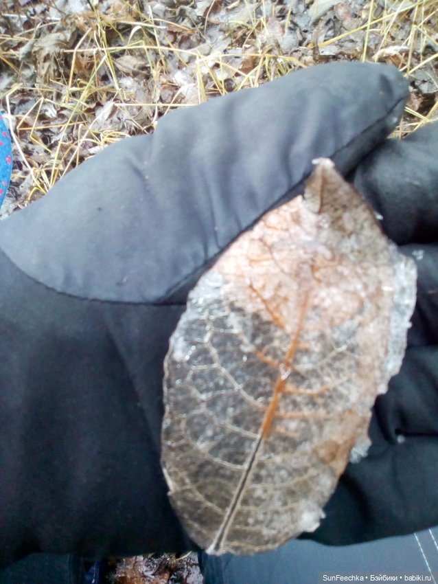 Ледяной дизайн — Красивая природа и цветы: фото пейзажей (фото 7)