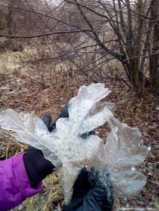 Ледяной дизайн — Красивая природа и цветы: фото пейзажей