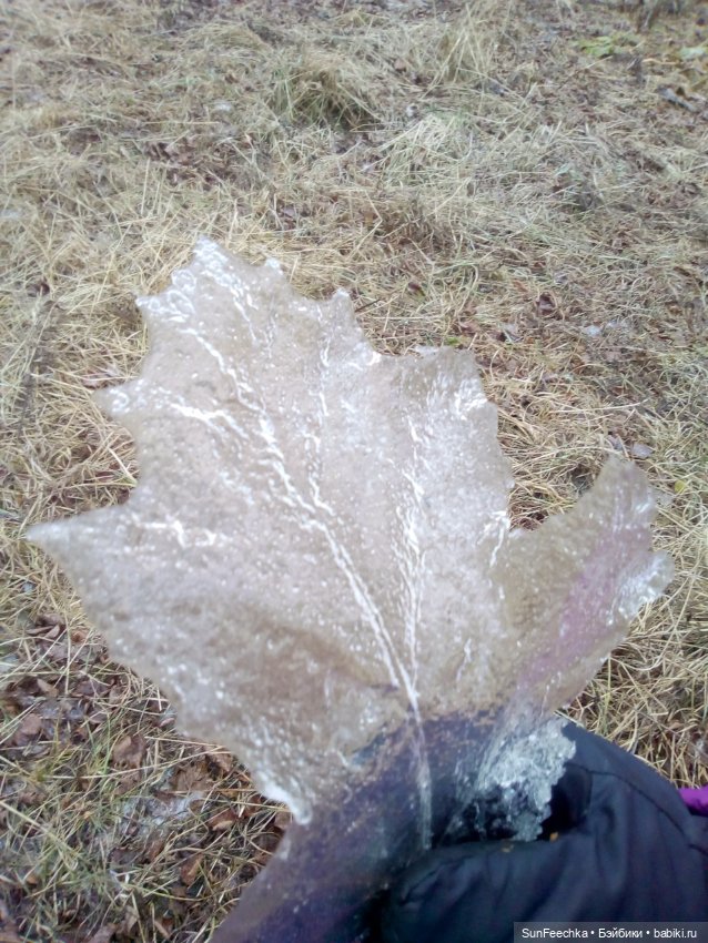 Ледяной дизайн — Красивая природа и цветы: фото пейзажей (фото 2)