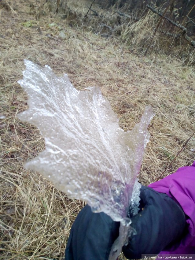 Ледяной дизайн — Красивая природа и цветы: фото пейзажей