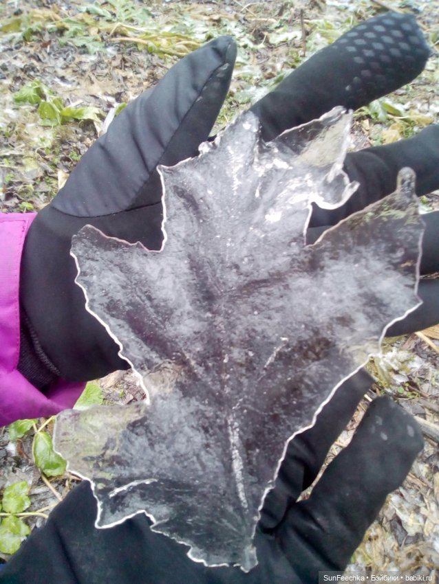 Ледяной дизайн — Красивая природа и цветы: фото пейзажей