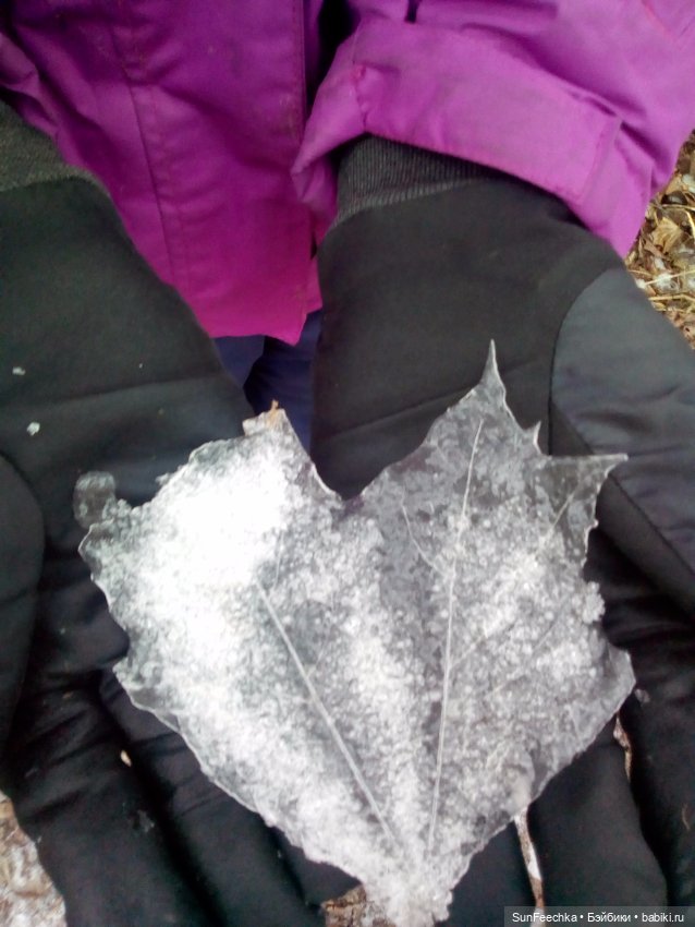 Ледяной дизайн — Красивая природа и цветы: фото пейзажей (фото 4)