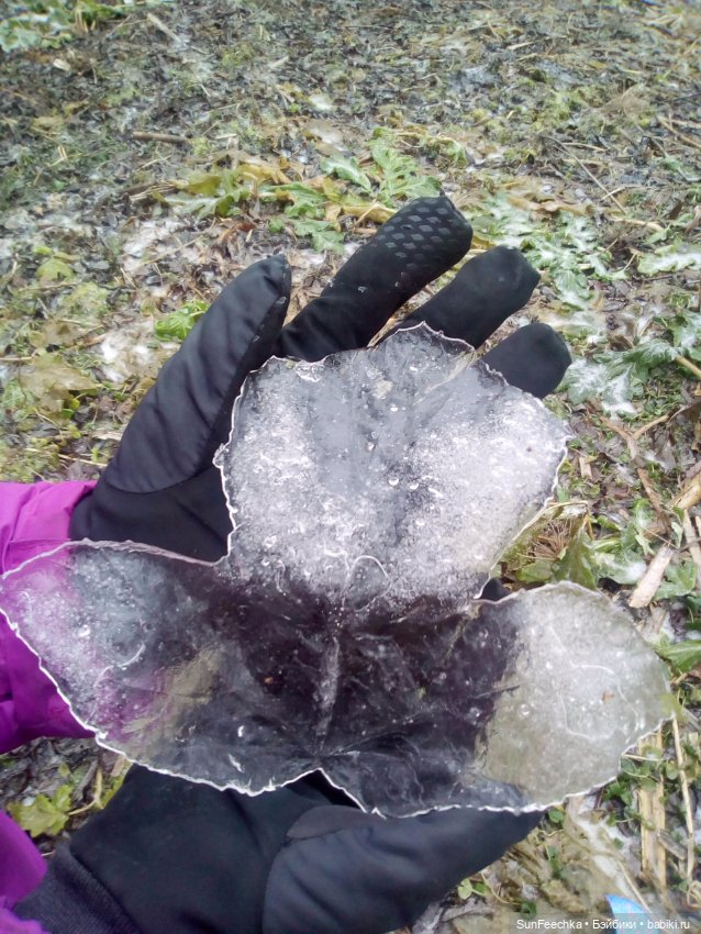 Ледяной дизайн — Красивая природа и цветы: фото пейзажей