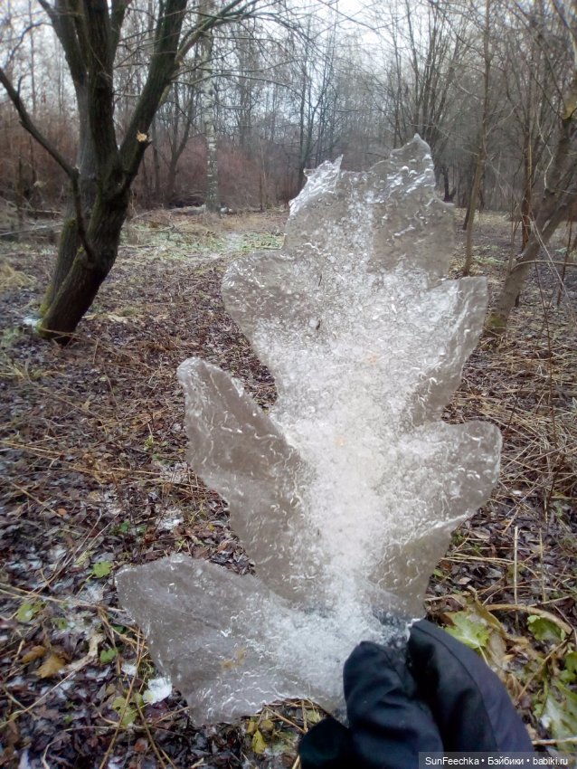 Ледяной дизайн — Красивая природа и цветы: фото пейзажей