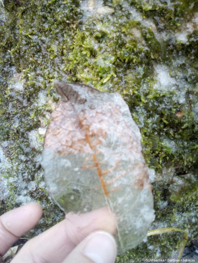 Ледяной дизайн — Красивая природа и цветы: фото пейзажей (фото 6)