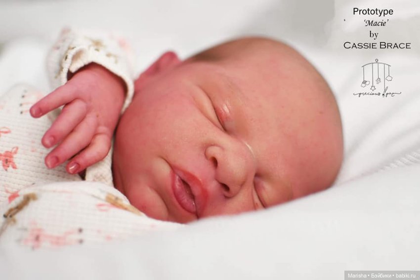 Macie скульптора Cassie Ann Brace, автор прототипа Holly Paz