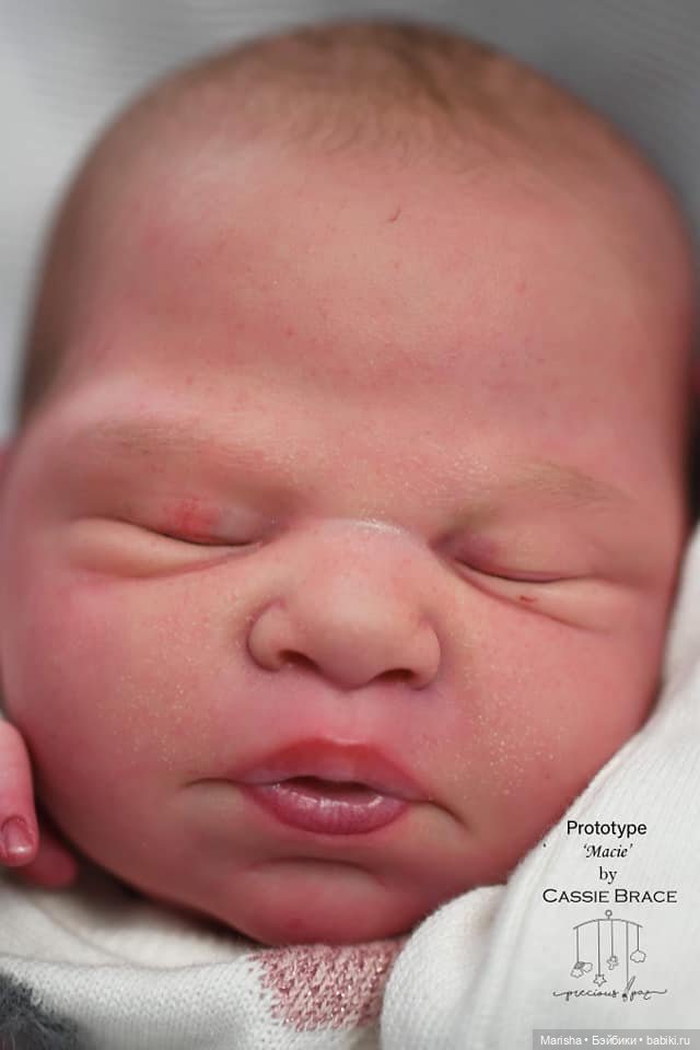 Macie скульптора Cassie Ann Brace, автор прототипа Holly Paz (фото 6)