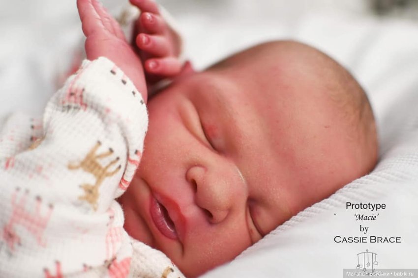 Macie скульптора Cassie Ann Brace, автор прототипа Holly Paz (фото 2)