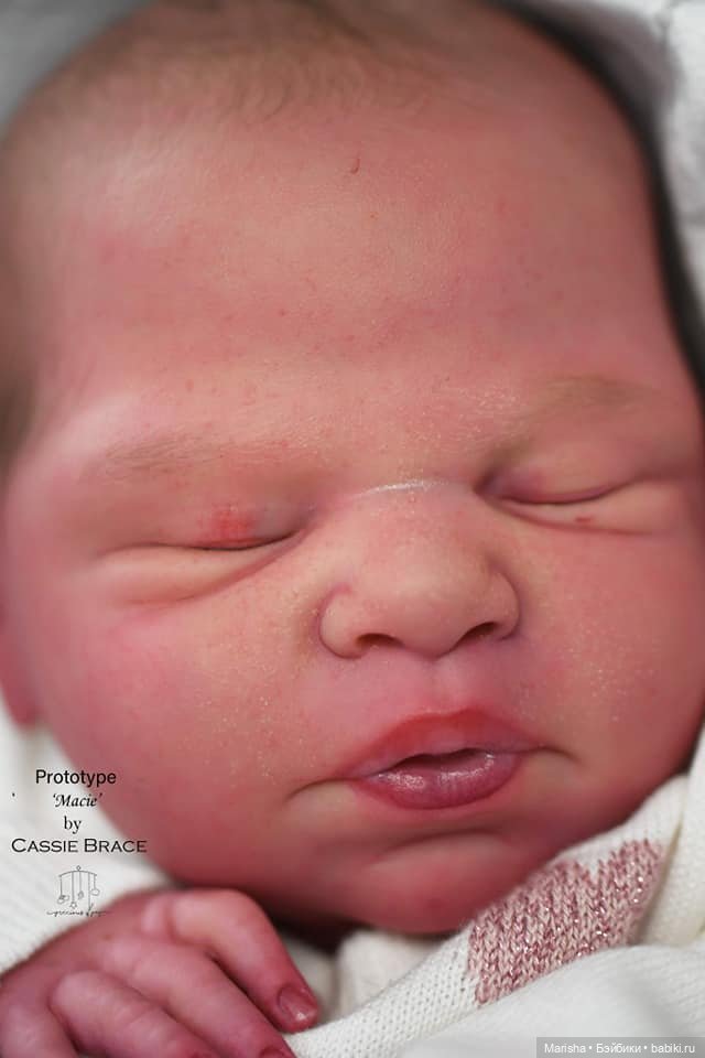 Macie скульптора Cassie Ann Brace, автор прототипа Holly Paz (фото 4)