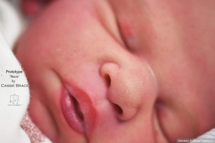 Macie скульптора Cassie Ann Brace, автор прототипа Holly Paz (фото 9)