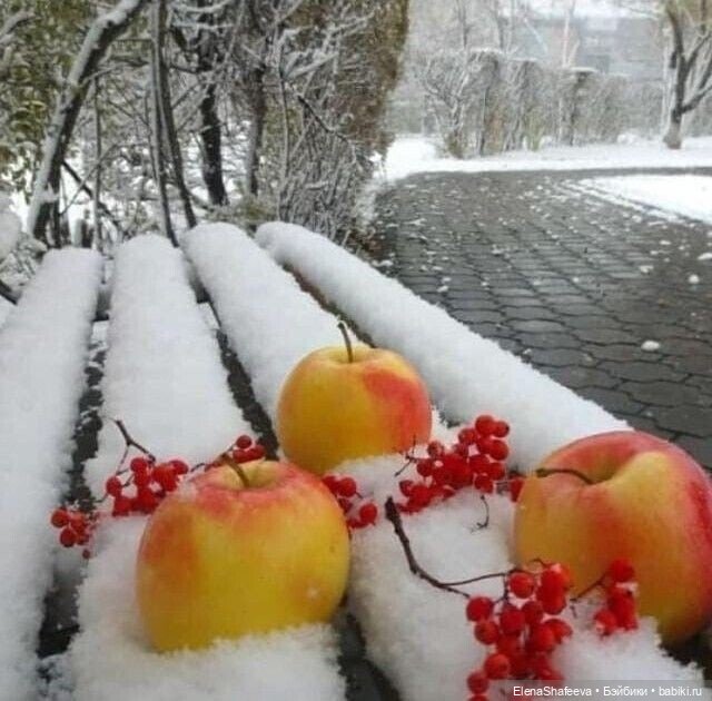 И Дни пролетают... И скоро Зима