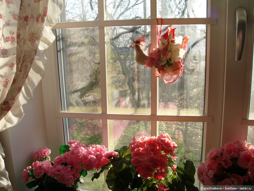 Ты птица? Как звать тебя — Другие хобби и увлечения: сад (фото 4)