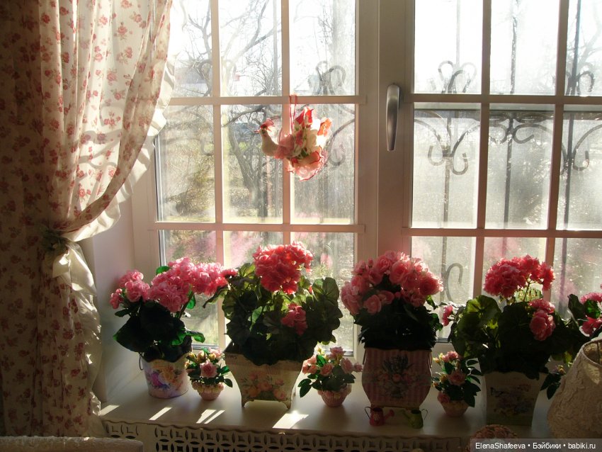 Ты птица? Как звать тебя — Другие хобби и увлечения: сад (фото 2)